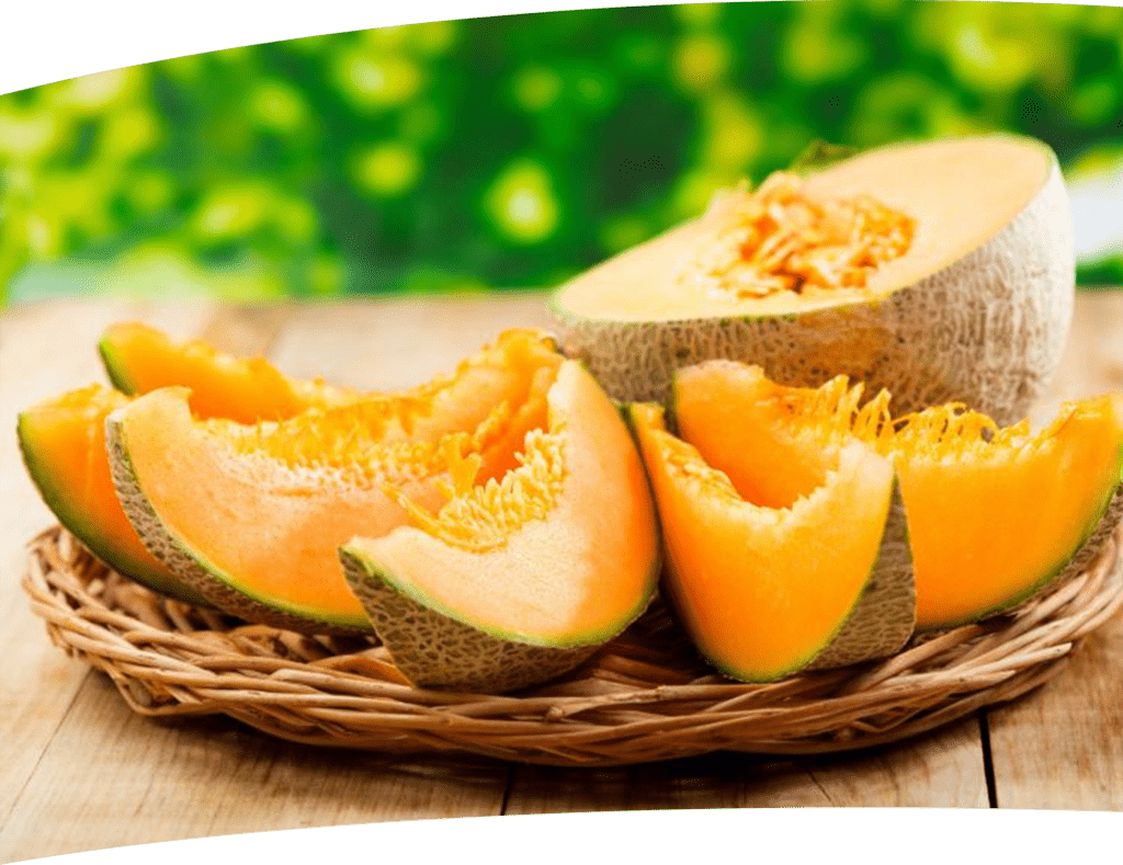 le melon de cavaillon