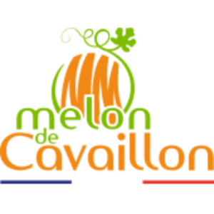 Melon de Cavaillon