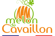 Melon de Cavaillon